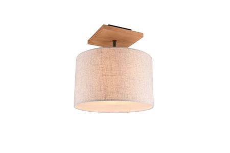Lampa sufitowa Trio 602100130 biały/srebrny