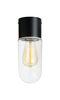 Lampa sufitowa Markslöjd ZEN 107796 przezroczysty