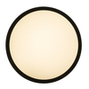 Lampa sufitowa Rabalux Achilles 3146 czarny
