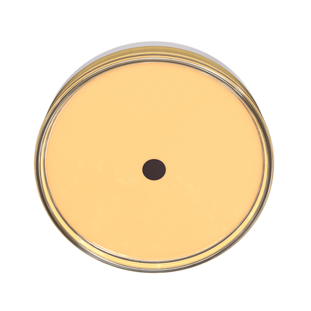 Plafon Italux PLF-64536-M-WH Biały mat