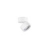 Spot Luces Exclusivas MALERTA LE45518 biały