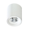 Spot MANE WHITE Azzardo AZ2845 biały