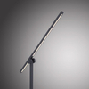 Lampa biurkowa Paul Neuhaus PURE-GRAFO 4407-18 czarny