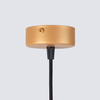 Sollux Lighting Lampa wisząca ARCHE 1 złota SL.1339