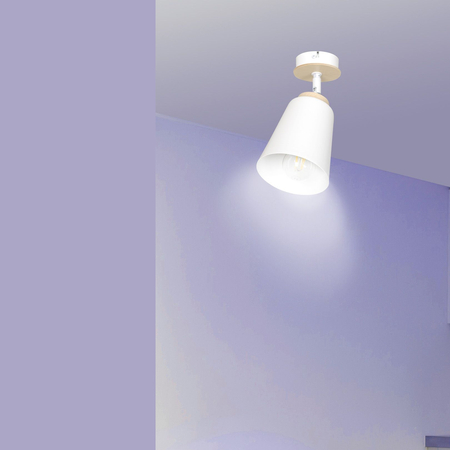 Lampa sufitowa ATLAS 1 WHITE Emibig 724/1 biały