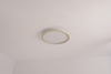 Plafon LED okrągły złoty Abigali 500*45mm 36W - trzy barwy, ściemnialny - Pilot