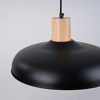 Sollux Lighting Lampa wisząca INDY czarna SL.1324