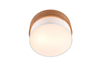 Lampa sufitowa Trio 611500201 srebrny