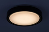 Lampa sufitowa Rabalux Foster 3283 czarny