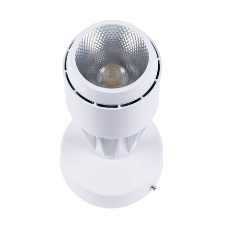 Reflektor nastropowy LED Greenie COB 20W biały CW