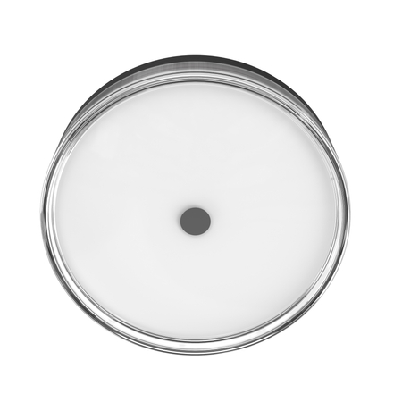 Plafon Italux PLF-64536-M-BK Czarny