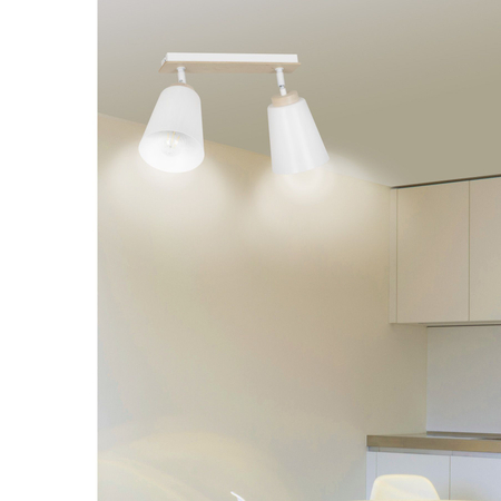 Lampa sufitowa ATLAS 2 WHITE Emibig 724/2 biały