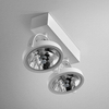 Reflektor AQForm Ceres 111 X 2 R Spot Biały Struktura