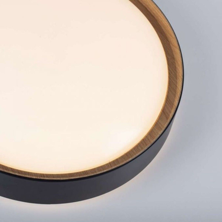 Plafon Paul Neuhaus EMILIA 14347-18 czarny