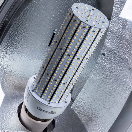 Żarówka LED Greenie AluCorn 66W E40 CS dookólna 900 diod SMD CW