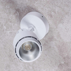 Reflektor nastropowy LED Greenie COB 20W biały CW