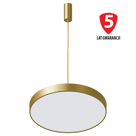 Lampa wisząca Italux 5361-830RP-GD-3 Orbital Złota