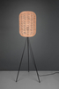 Lampa podłogowa Trio 403000132 czarny