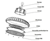 Highbay Greenie LED Slim Professional 150lm/W 100W NW