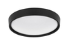 Lampa sufitowa Rabalux Achilles 3146 czarny