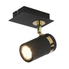 Spot Italux SPL-2031-1 Czarny mat, złoty chrom