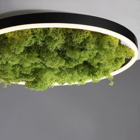 Lampa sufitowa GREEN RITUS Zuma Line 15391-66 zielony