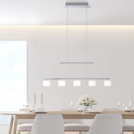 Lampa wisząca Paul Neuhaus HYDRA 2209-55 stalowy