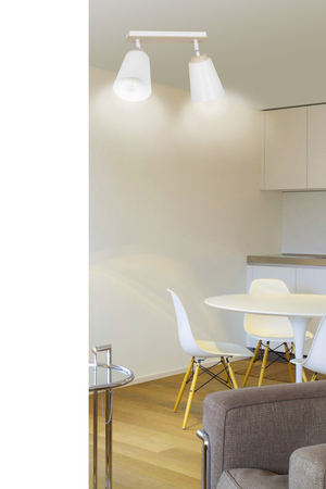 Lampa sufitowa ATLAS 2 WHITE Emibig 724/2 biały