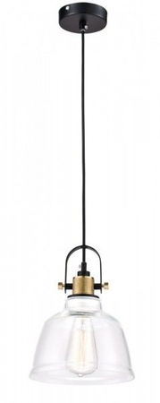 Lampa wisząca Maytoni T163-11-W Irving Clear - Czarny