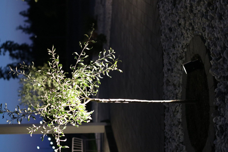 Lampa zewnętrzna Markslöjd GARDEN 106932 czarny