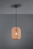 Lampa wisząca Trio 303090132 czarny