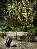 Lampa zewnętrzna Markslöjd GARDEN 106930 czarny