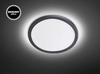 Lampa sufitowa Rabalux Lambert 3358 srebrny