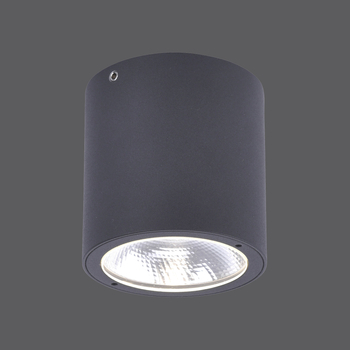 Lampa sufitowa GEORG Zuma Line 9673-13 grafitowy