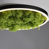 Lampa sufitowa GREEN RITUS Zuma Line 15391-66 zielony
