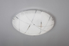 Lampa sufitowa Trio 601200200 biały