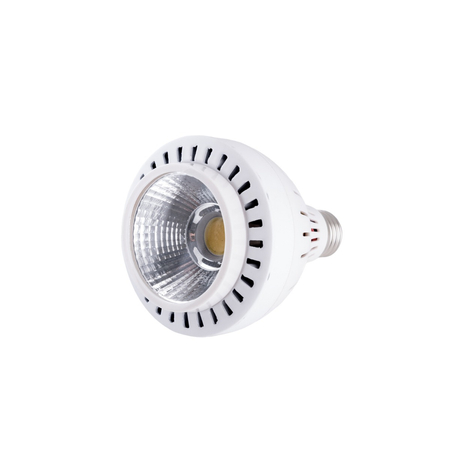 Żarówka LED Greenie do oprawy szynowej PAR 20W E27 CW