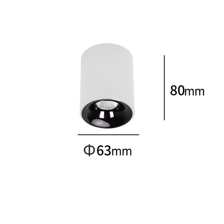 Light Prestige Oprawa natynkowa Tom biała LED CCT LP-4848/1RM WH