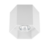Spot sufitowy Polygon CL 1L 20035-WH Zuma Line
