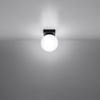Sollux Lighting Plafon YOLI 1 czarny SL.1151