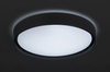 Lampa sufitowa Rabalux Achilles 3146 czarny
