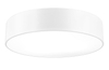 Lampa sufitowa Luces Exclusivas HERVAS LE42043 biały