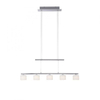 Lampa wisząca Paul Neuhaus HYDRA 2209-55 stalowy