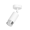 Lampa sufitowa HIRO 1 WH/CHROME Emibig 962/1 biały/złoty
