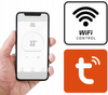 Panel grzewczy Cronos z WiFi i pilotem 300W kolor ramki srebrny