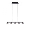 Lampa wisząca Paul Neuhaus HYDRA 2209-18 czarny