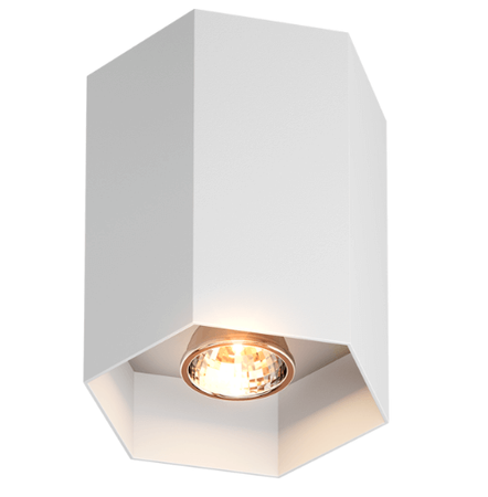 Spot Polygon CL 1L Spot 20067-WH Zuma Line