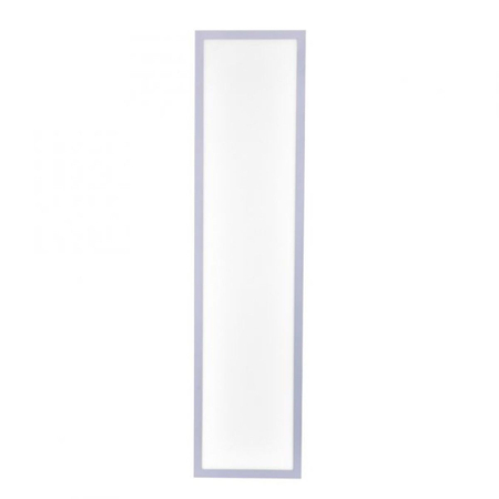 Panel Paul Neuhaus FLAT 14753-21 srebrny