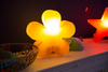 Kwiat LED Lampa zewnętrzna ogrodowa 2700K Biała ciepła Ø40cm 32409W pomarańczowy
