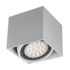 Spot BOX Zuma Line ACGU10-114-N biały